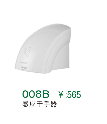 008B