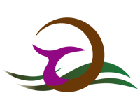 1559356449698620.png