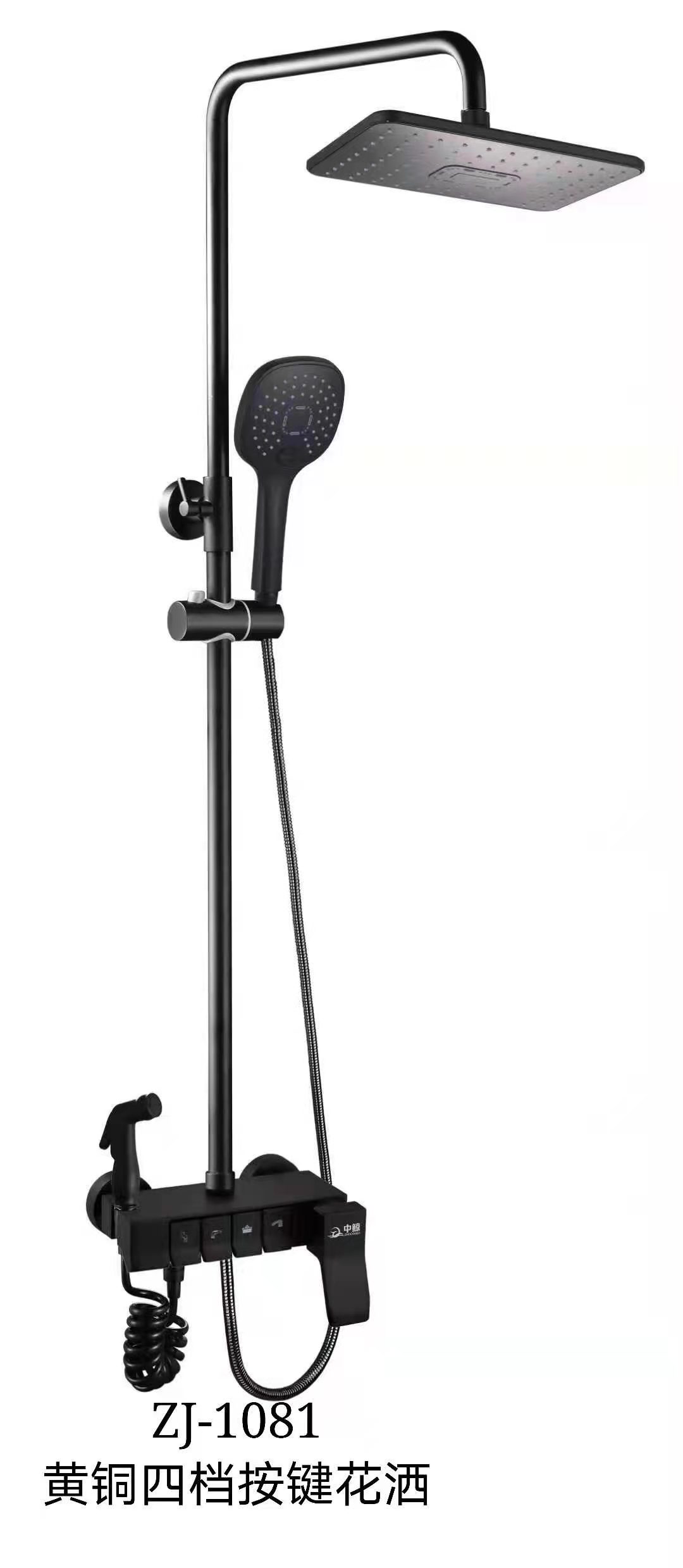 ZJ-1081