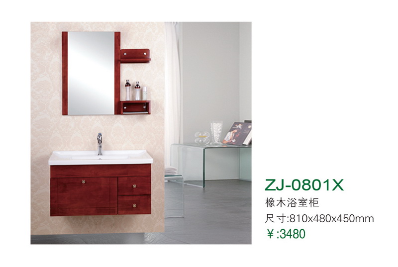 ZJ-0801X
