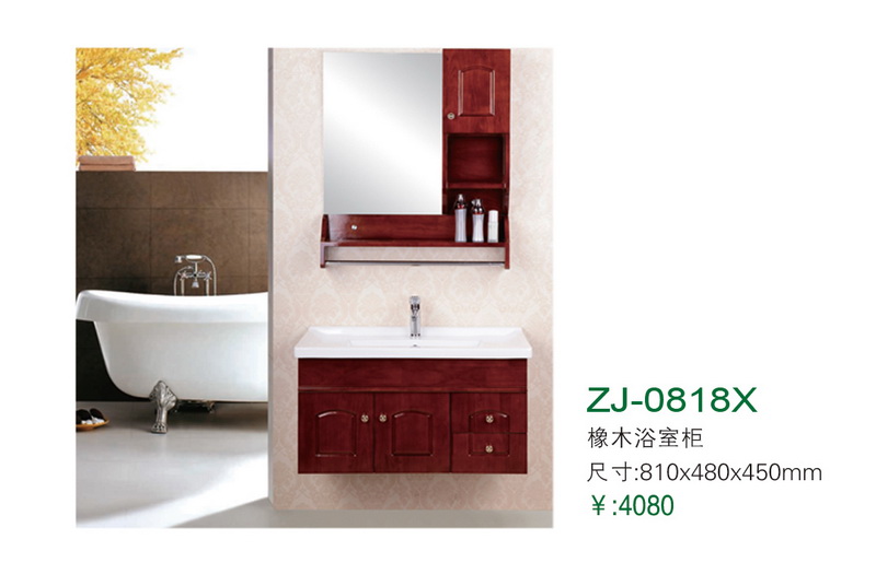 ZJ-0818X