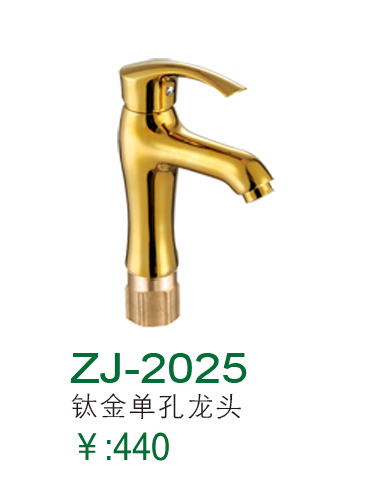 ZJ-2025