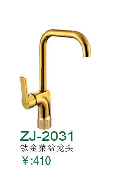 ZJ-2031