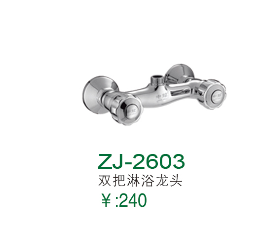 ZJ-2603