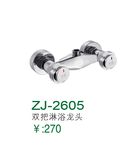 ZJ-2605