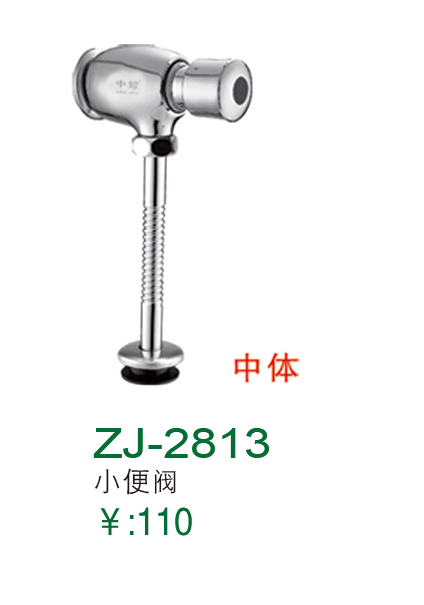 ZJ-2813