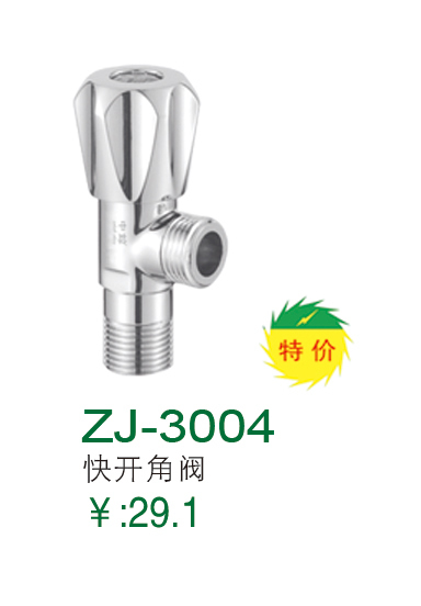 ZJ-3004