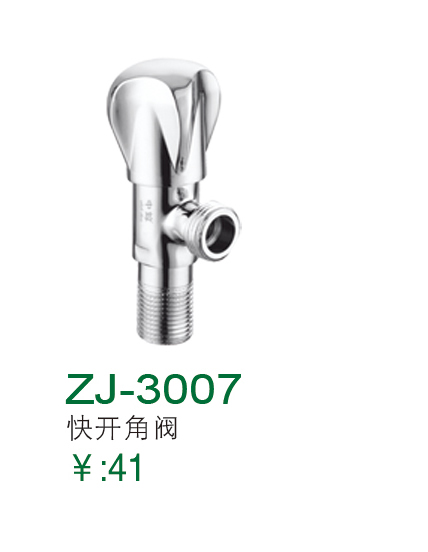 ZJ-3007