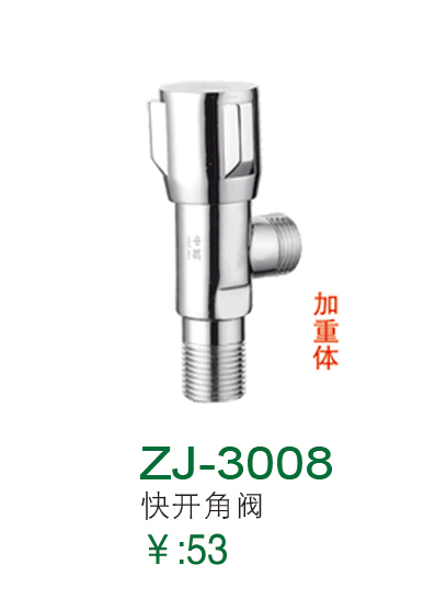 ZJ-3008