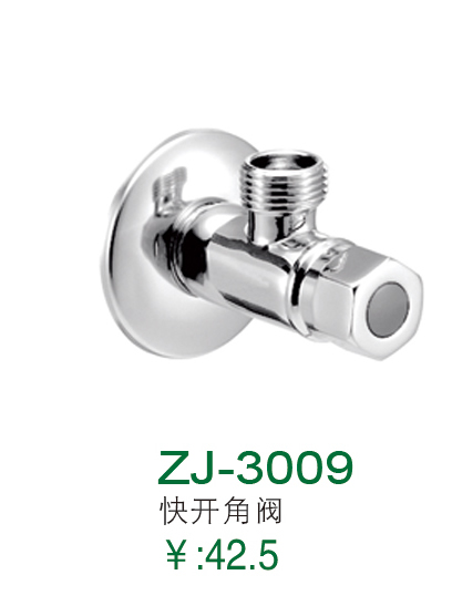 ZJ-3009