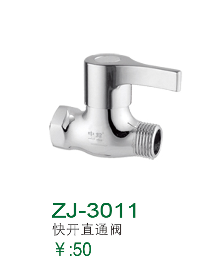 ZJ-3011