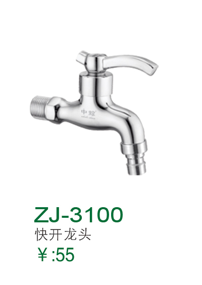 ZJ-3100