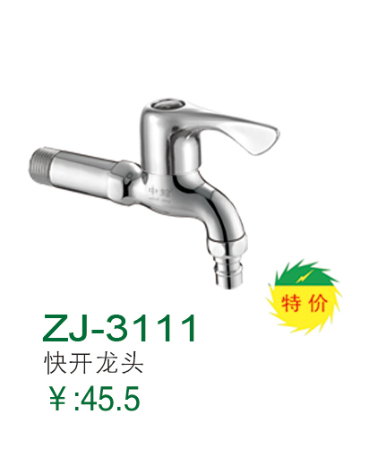 ZJ-3111
