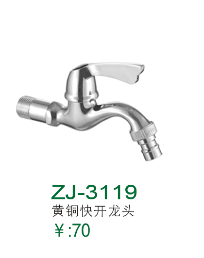 ZJ-3119