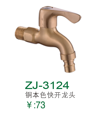ZJ-3124