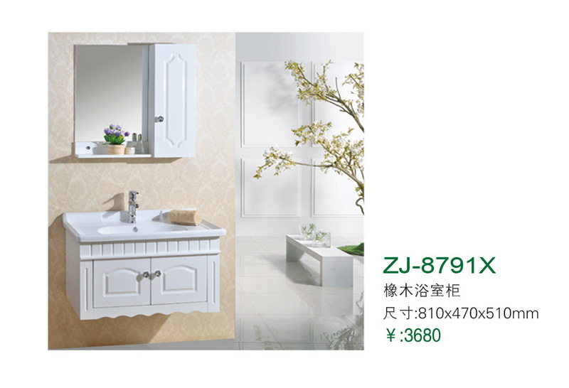 ZJ-8791X