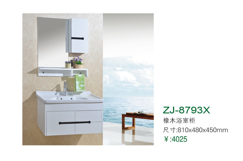 ZJ-8793X