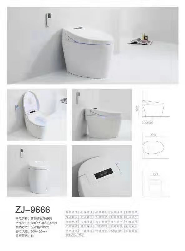 ZJ-9666