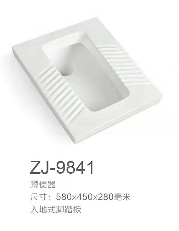 ZJ-9841