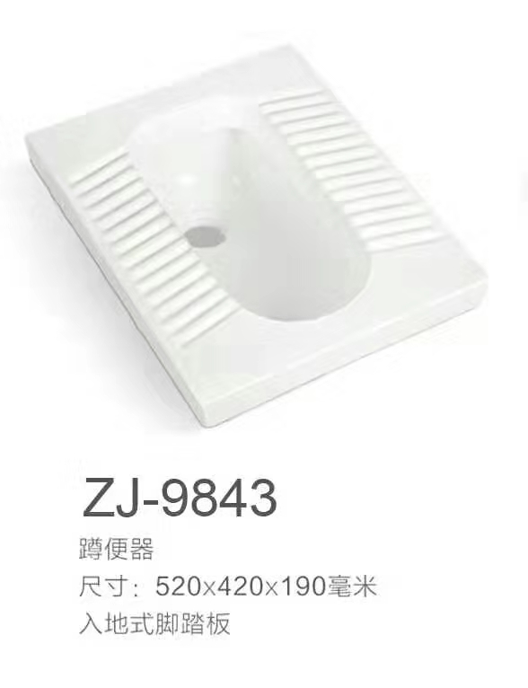 ZJ-9843