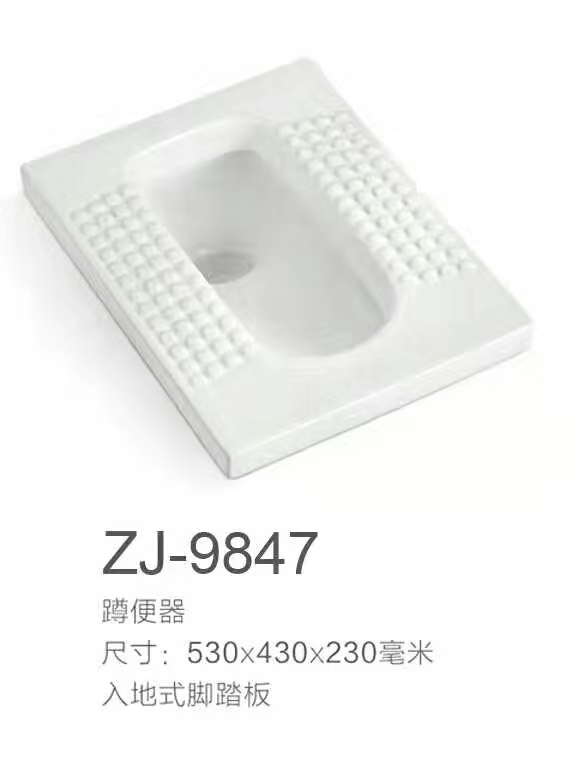 ZJ-9847