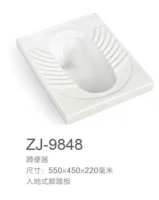 ZJ-9848