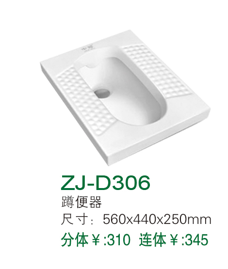 ZJ-D306