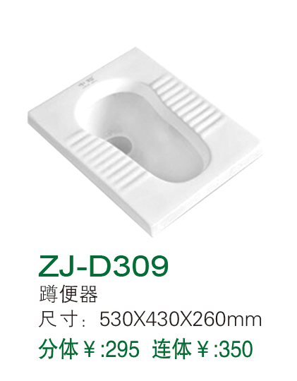 ZJ-D309
