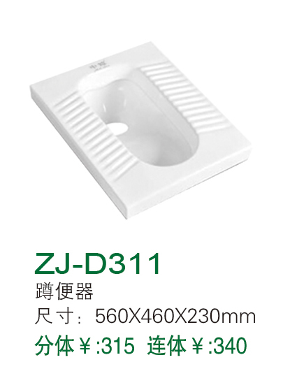 ZJ-D311