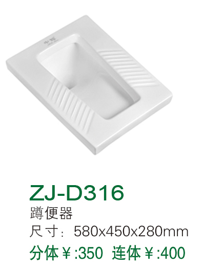 ZJ-D316