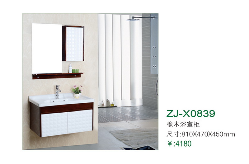 ZJ-X0839
