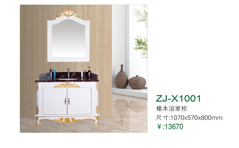 ZJ-X1001