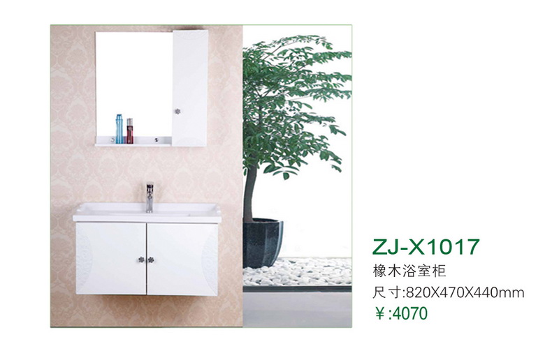 ZJ-X1017