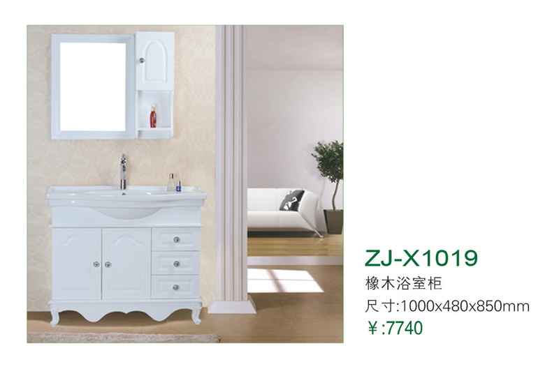 ZJ-X1019