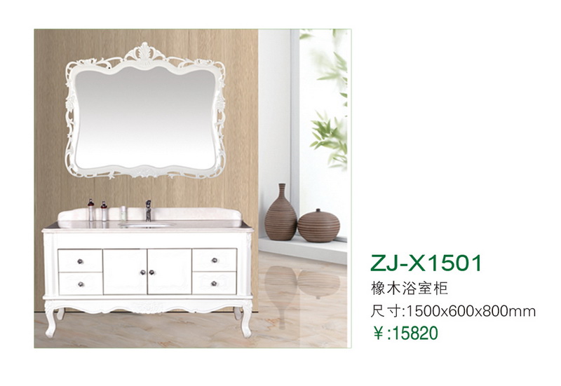 ZJ-X1501